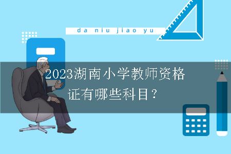 2023湖南小学教师资格证有哪些科目？